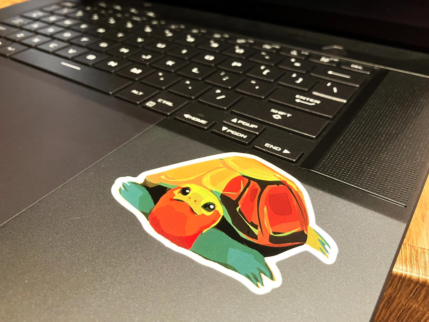 Silly Turtle Sticker Set